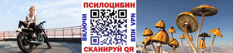 Галлюциногенные грибы Cubensis Ленинск-Кузнецкий