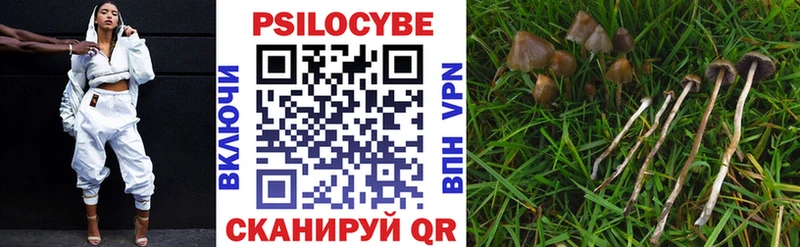 Галлюциногенные грибы Psilocybe  Купить закладки  Ленинск-Кузнецкий 